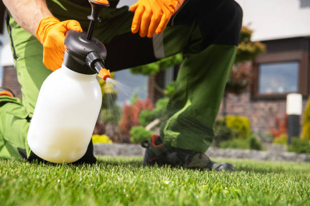 Best Pest Removal Services  in Leona Valley, CA