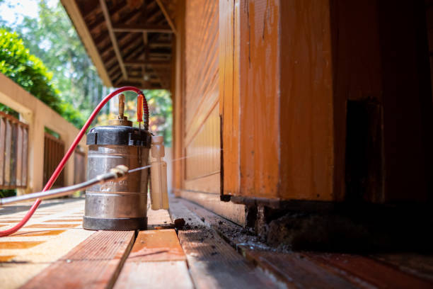 Best Wasp Removal Services  in Leona Valley, CA