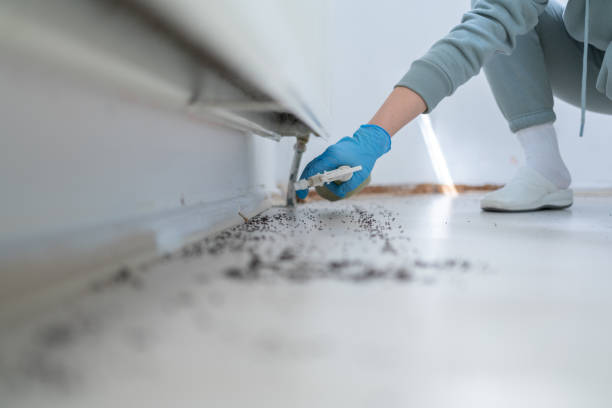 Pest Control for Restaurants in Leona Valley, CA